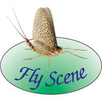 Flyscene