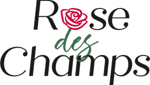 Rose des Champs