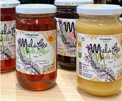 Apiculteur M Pascal BIZON