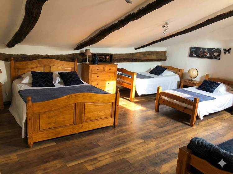 ombrebleuedufigfuier-chambre-châtaigne 4