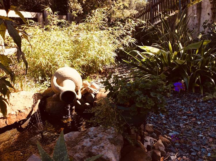 ambiance-zen-relaxante