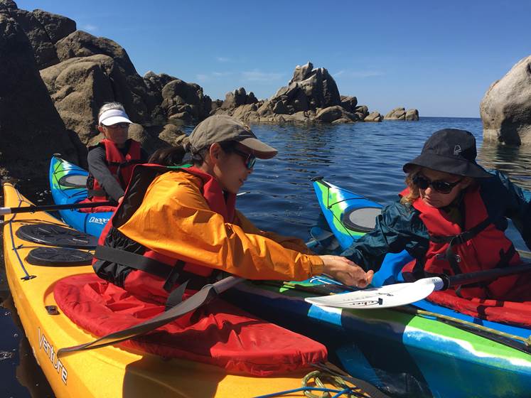 Abbartello kayak Corse découverte environnement