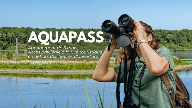 Abonnement AQUASPASS