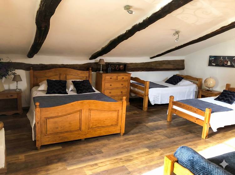 ombrebleuedufigfuier-chambre-châtaigne 6