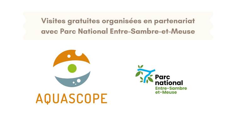 Montage visites PN ESEM