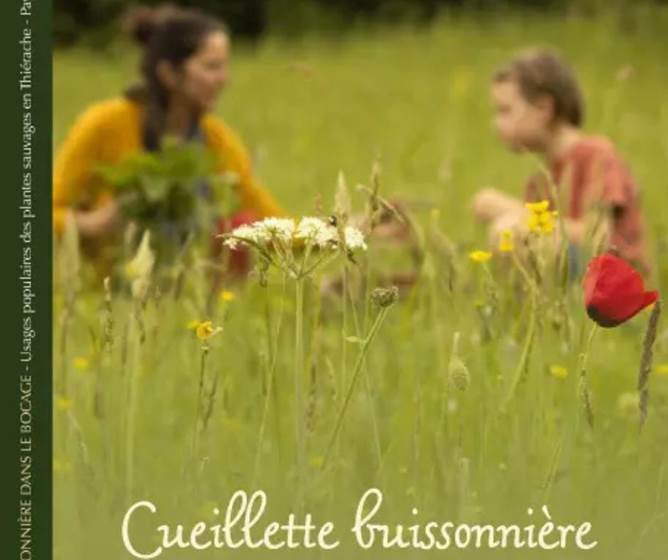 Design sans titre