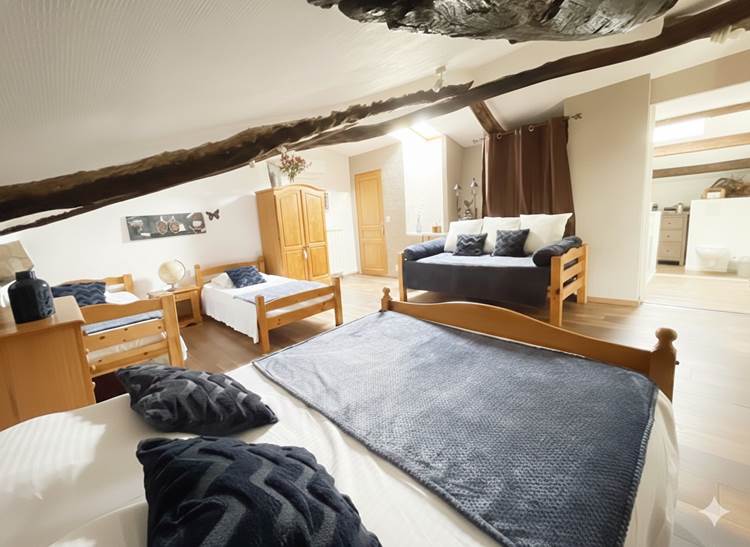 ombrebleuedufigfuier-chambre-châtaigne 3