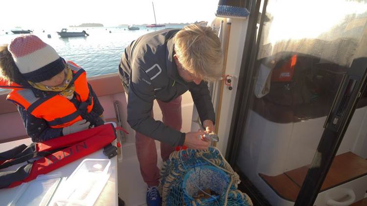 merzen croisière privative sur le golfe du morbihan croisière journée depose casier à crustacés 1