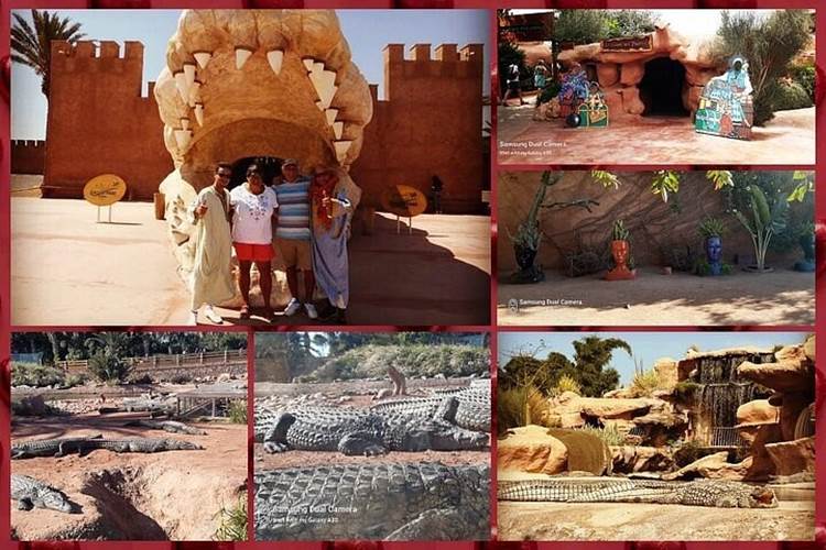 crocopark 4