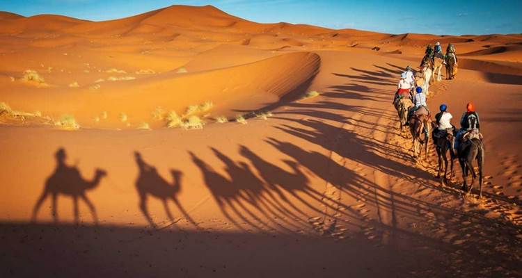 une balade à dos de chameau à travers les dune à Zagora