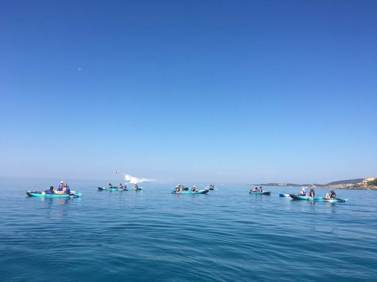 Abbartello canoe de mer kayak paddle Corse écopage canadair