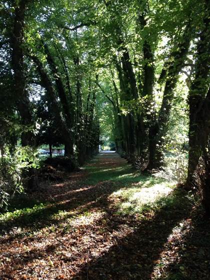 Une allée du Château de Géraudot  - copie