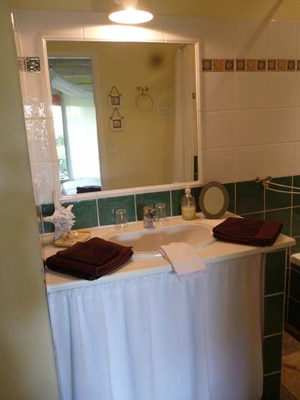 Salle de bain de la chambre Anis (2)