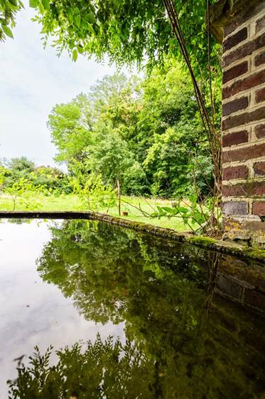 Pièce d'eau du parc du château, remplie après les pluies