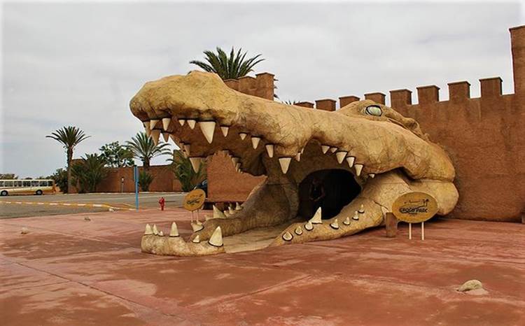 croco