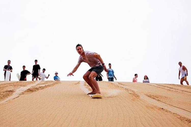 sandboard 6