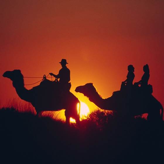 CAMEL 2