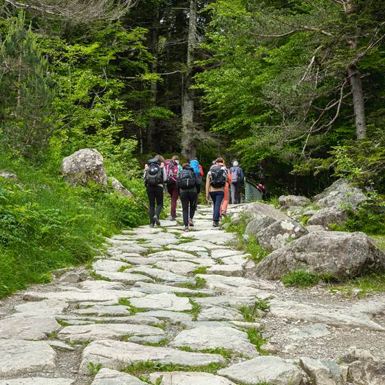 Montée au pont d'Espagne