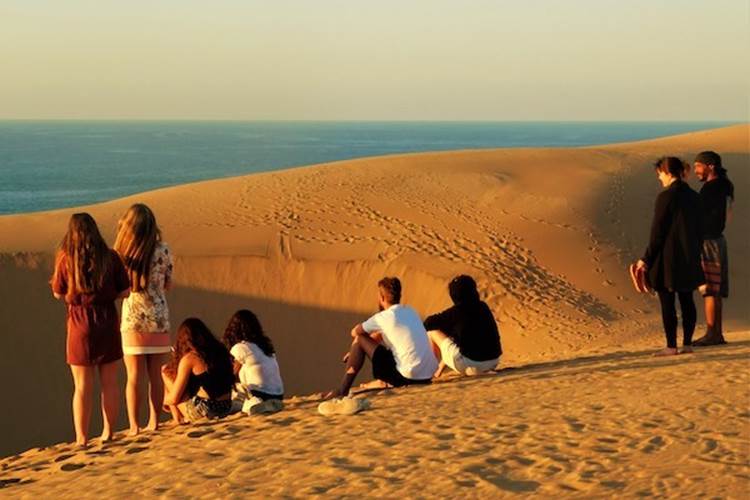 sandboard 10