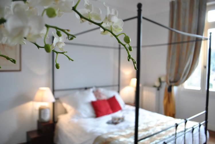 baldaquin orchidéeDSC_5000