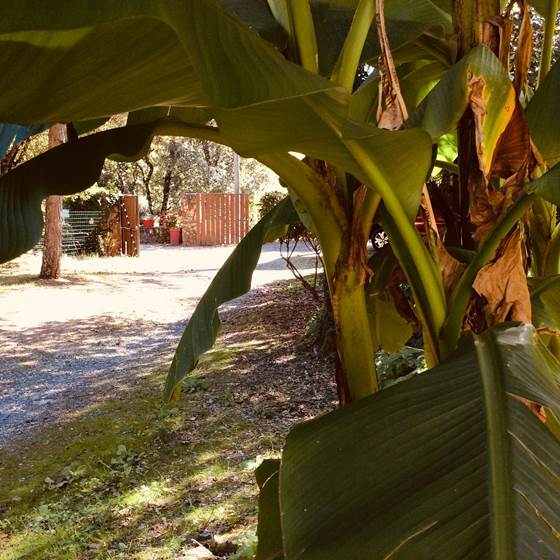 ambiance-petit-paradis