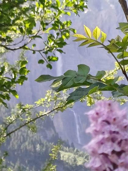 La cascade de Gavarnie