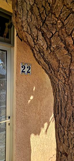 2024-10 chambre 22