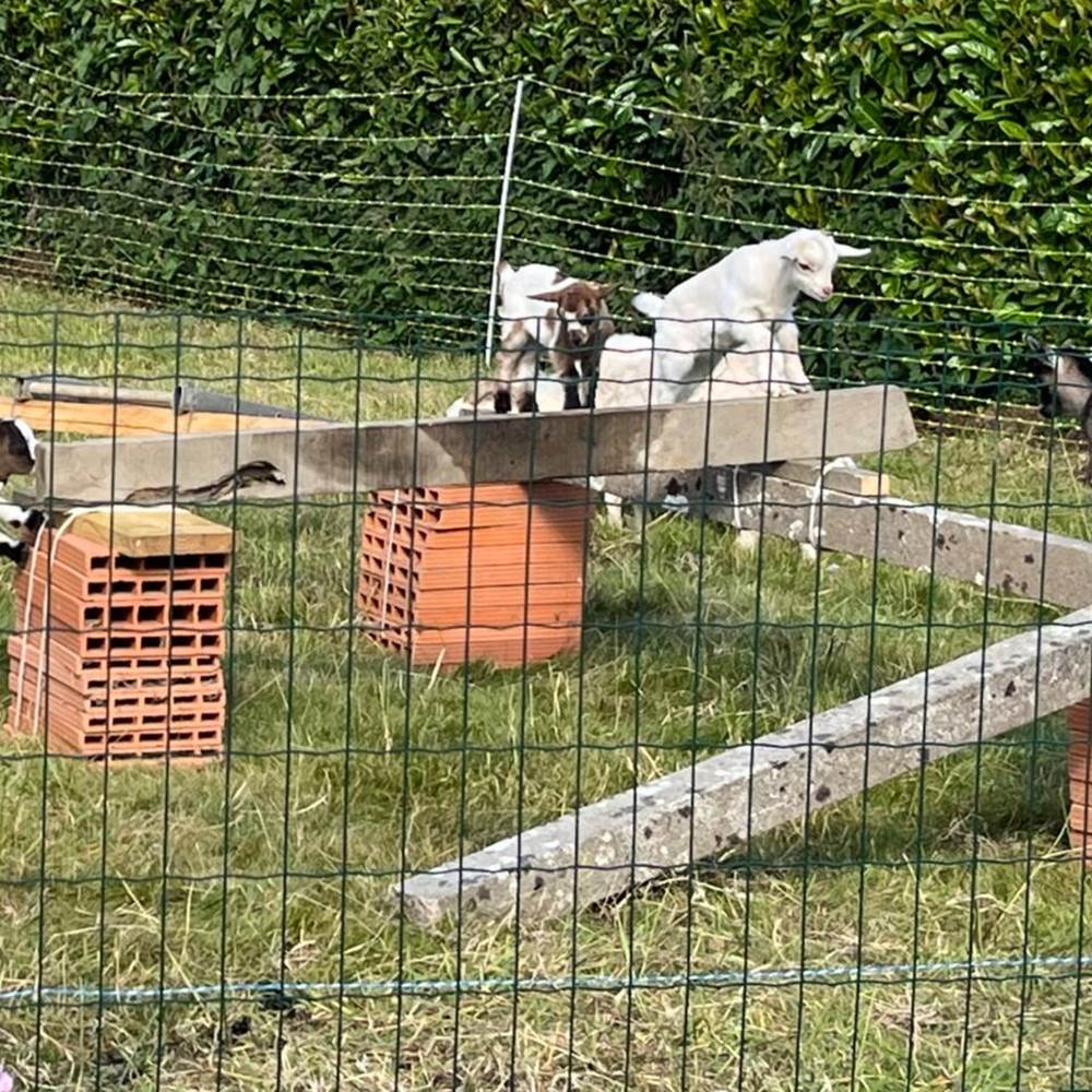 6b64a729-7a8f-41da-abc3-333bd35c8f2e 2-galerie