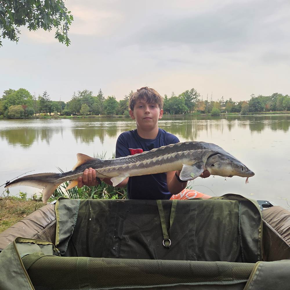 20250817_190404-presta