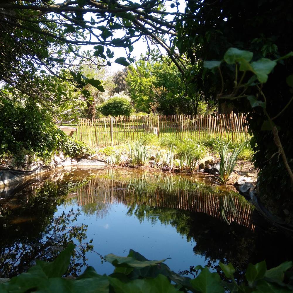 20240415_140505-presta