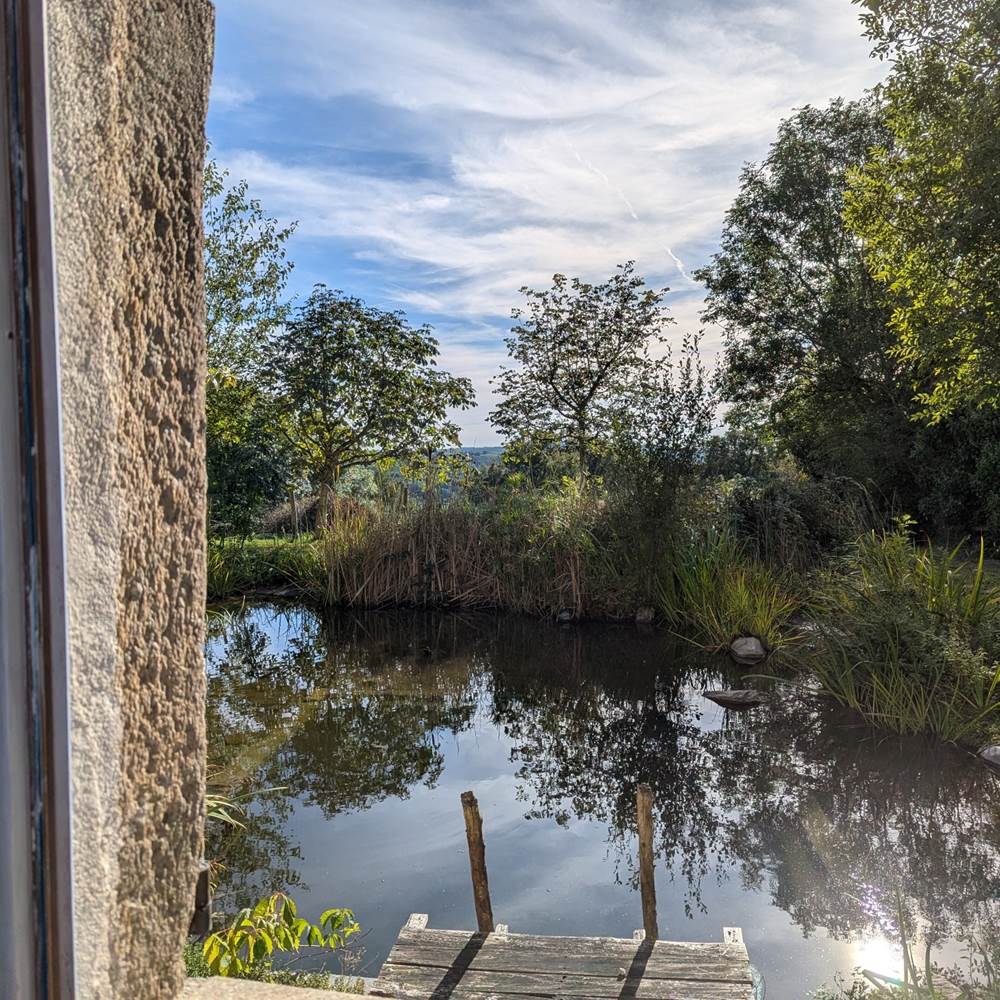 vue-etang-saisonnee-chambre-verdoyante-jardin-aquatique-nature-centres-aveyron-presta