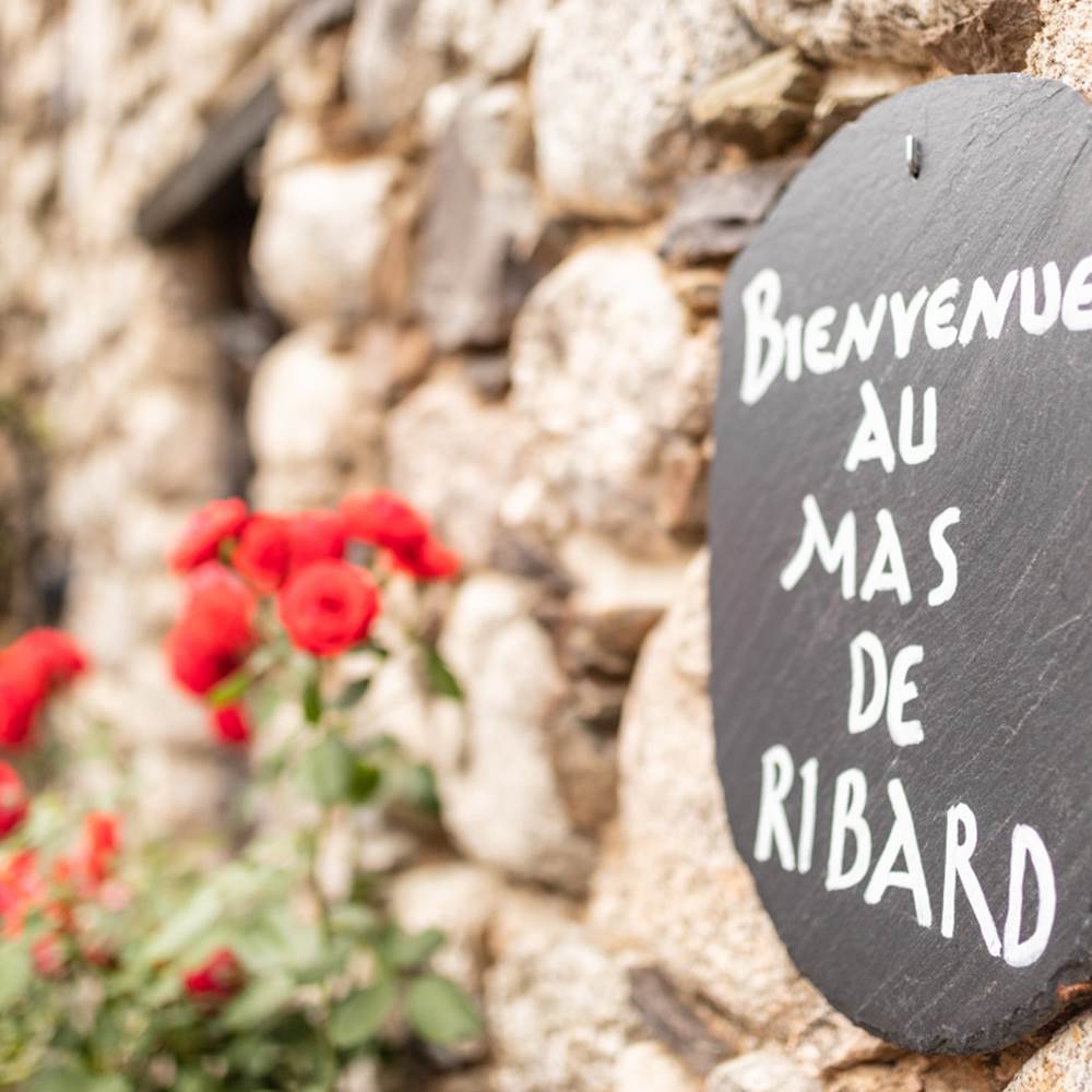 Bienvenue au Mas de Ribard-presta