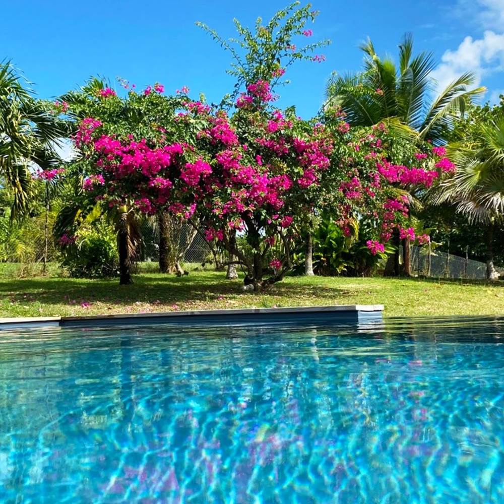 Mounkapoussé Saint-Louis Marie Galante piscine-presta