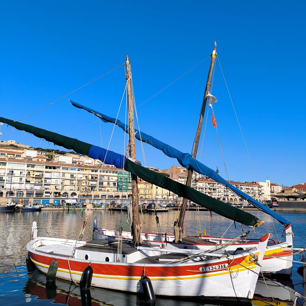 IMG_20241011_100031-presta