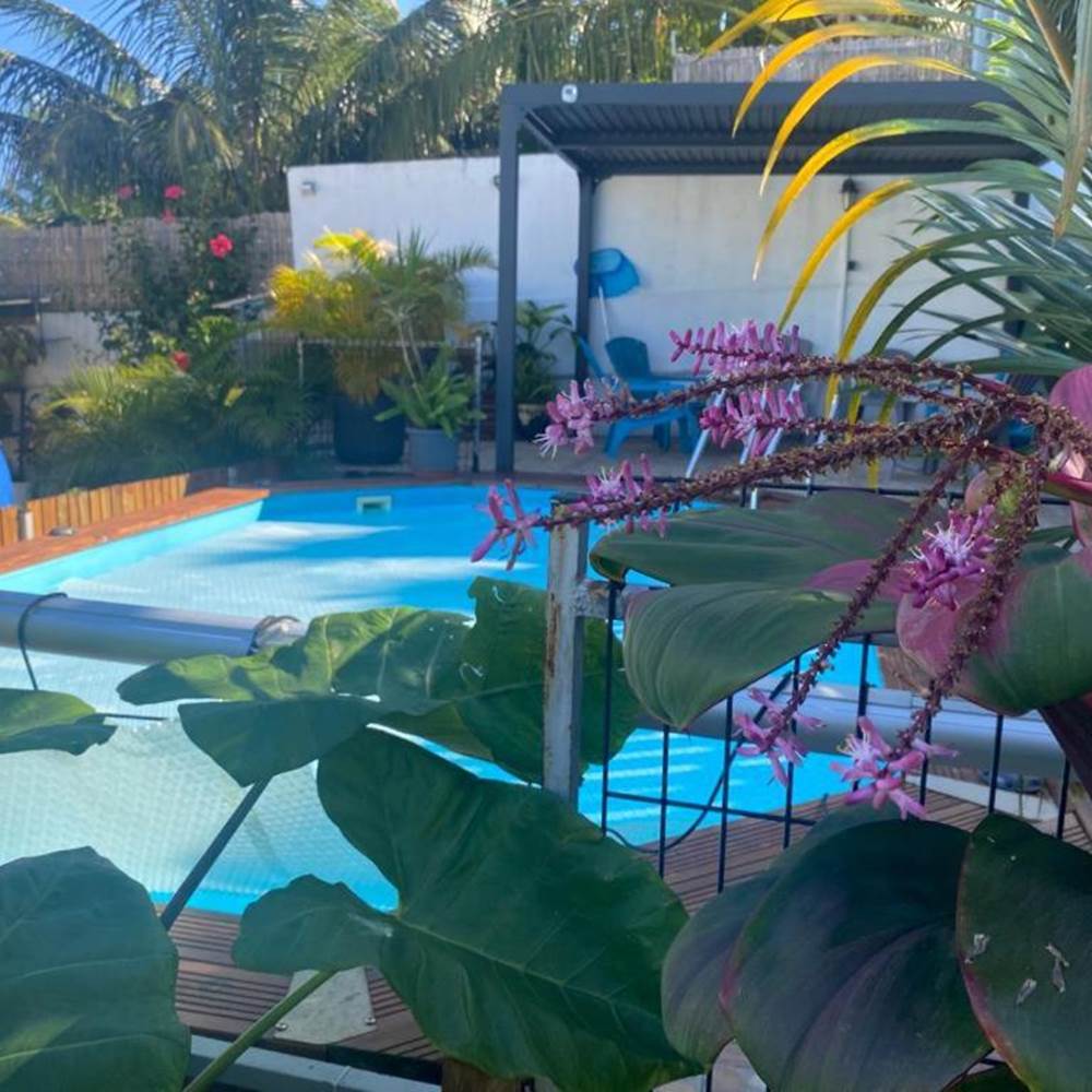 LES TOURTERELLES - Piscine