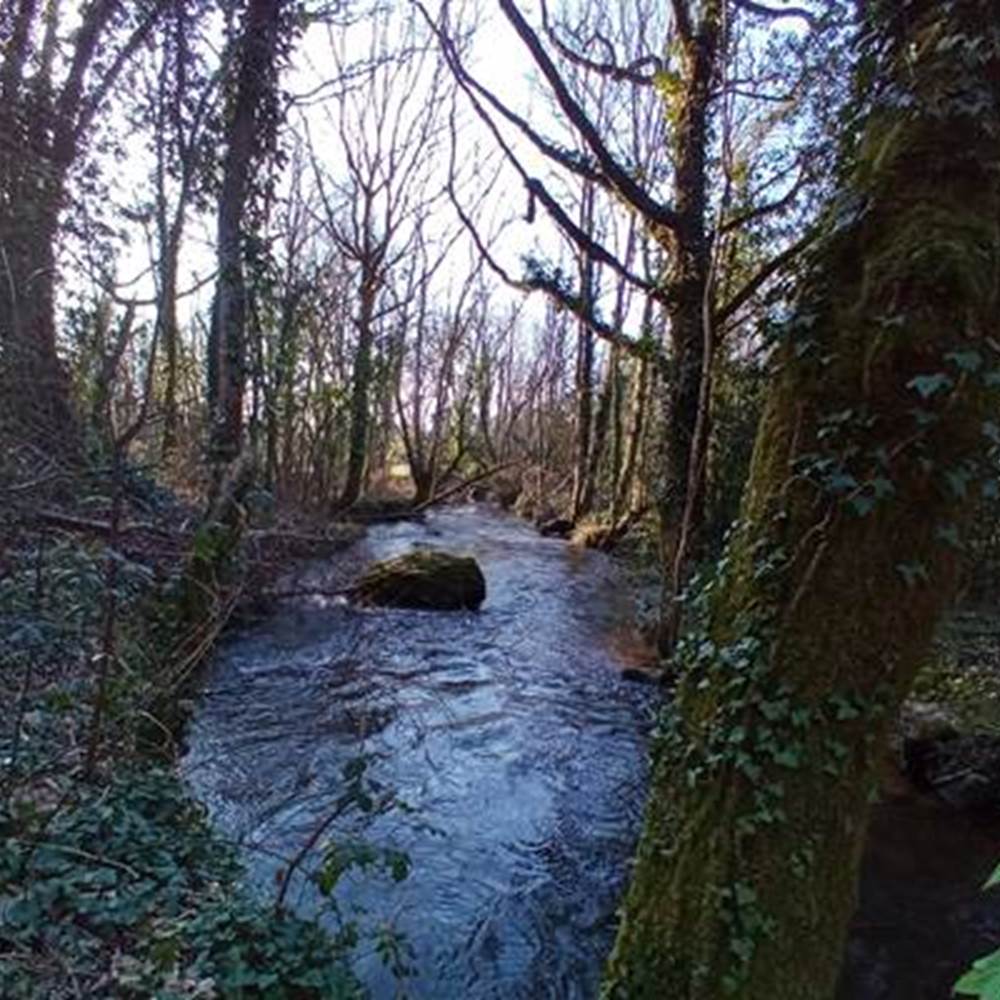 img20210228163233-galerie