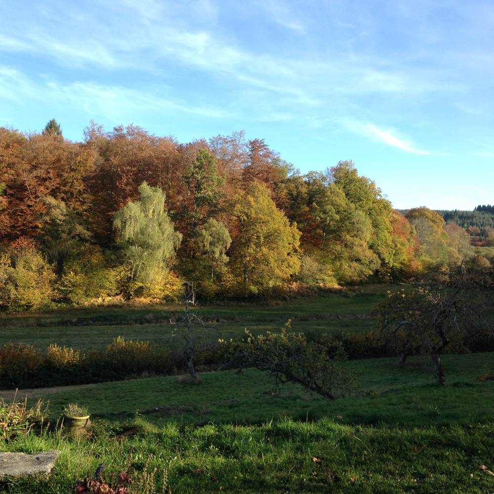 Paysage vu depuis la terrasse de la maison et depuis la chambre bleue-presta