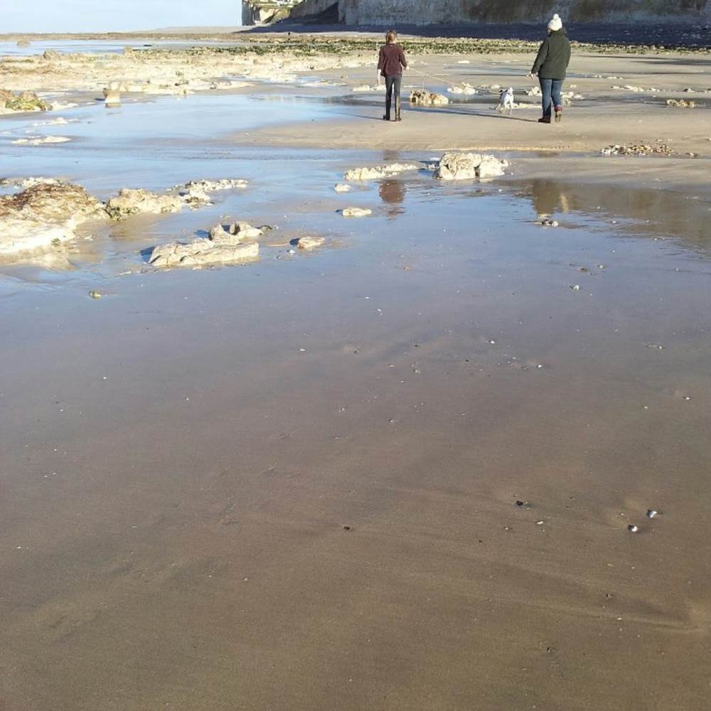 plage de criel sur mer-gallery