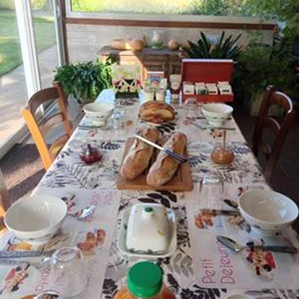 img20240804093749-galerie