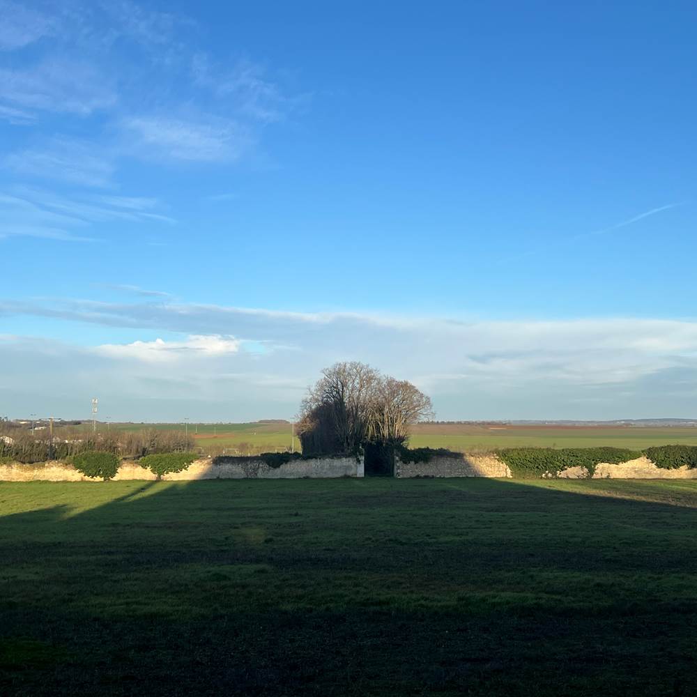 Vue sur les champs-presta