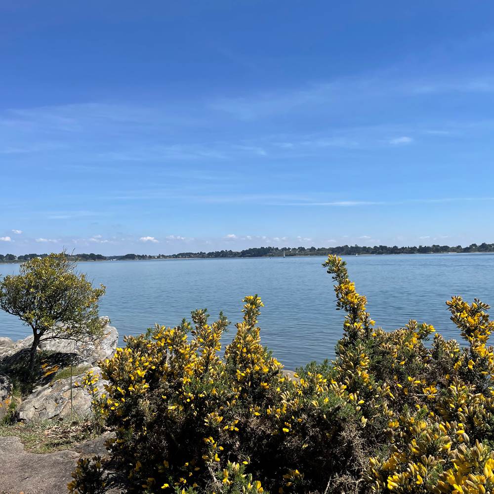 Ile de Berder-gallery
