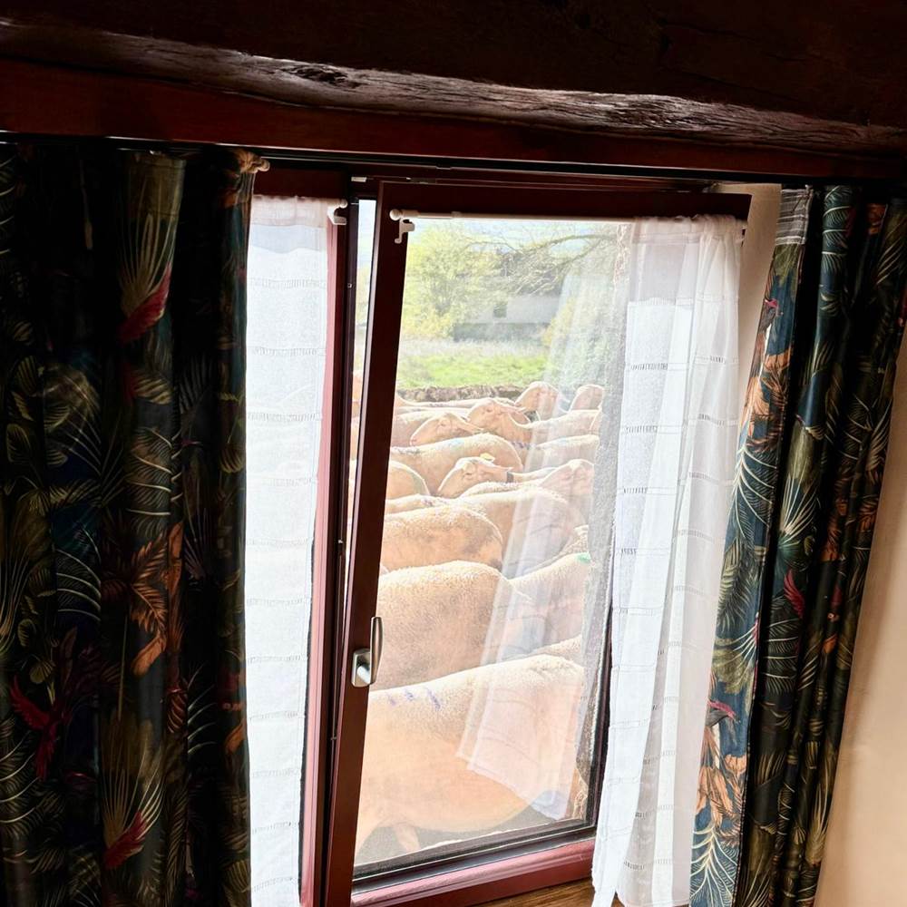 Fenêtre Capella-presta