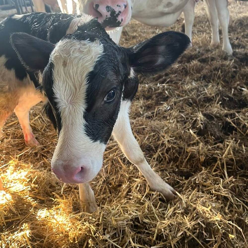 c3ef6c8f-4677-4001-ae9d-716868cbc755 2-galerie