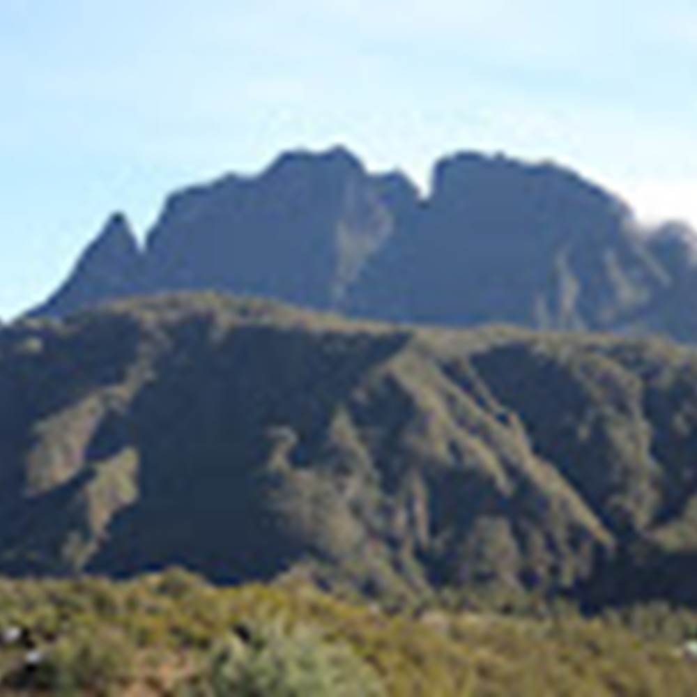 20191012060236_IMG_0848-gallery