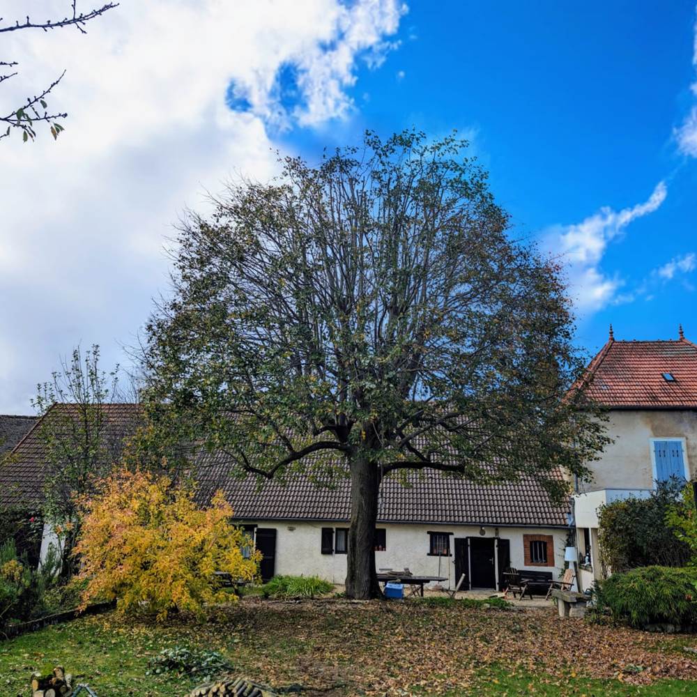 Vue arrière de la maison-gallery