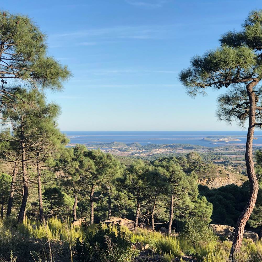 balade dans le massif de Fonfroide-presta