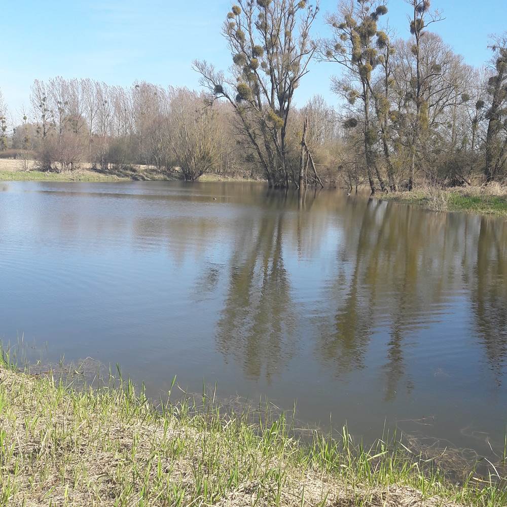 Notre étang privé à 800 m du gîte-presta