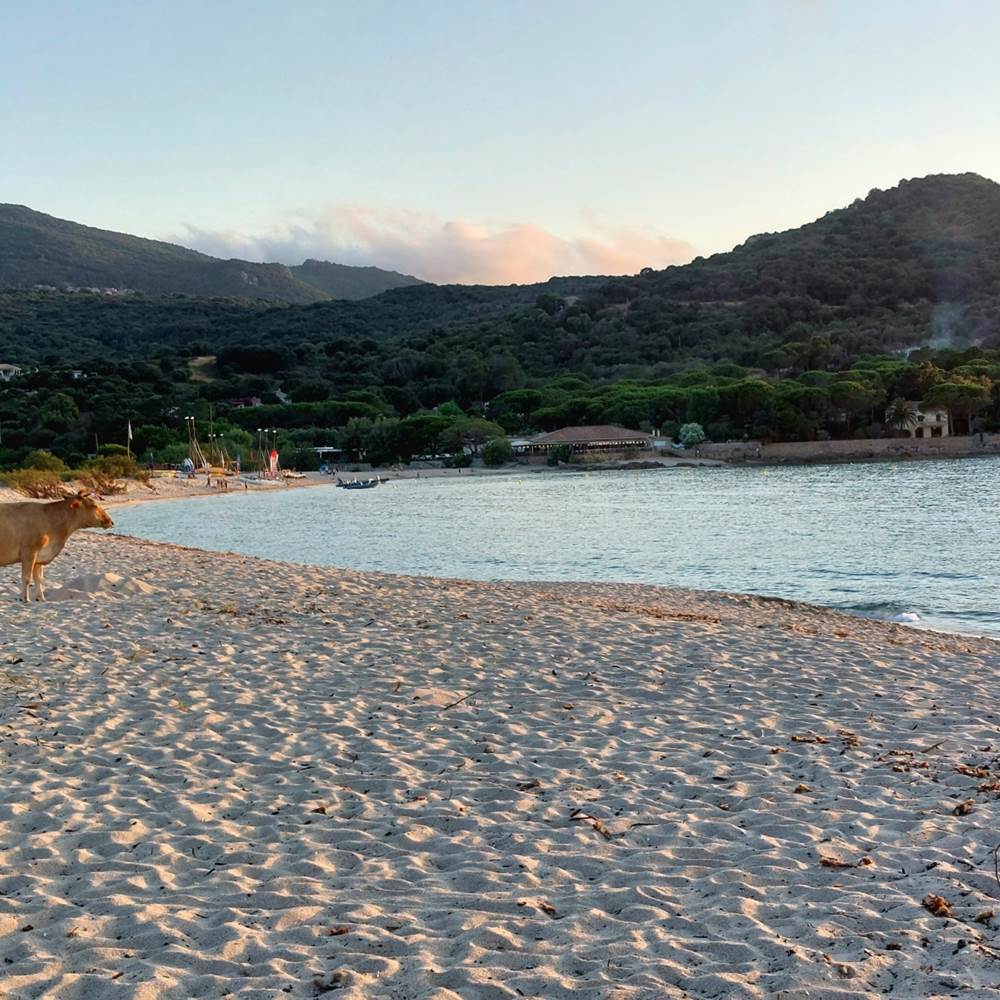 mobil-home-corse-golfe-valinco-plage-portogliolo-presta