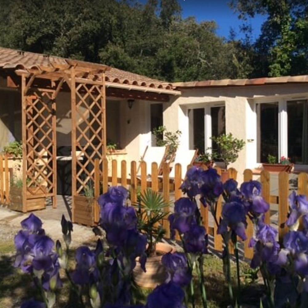 Bignone exterieur printemps