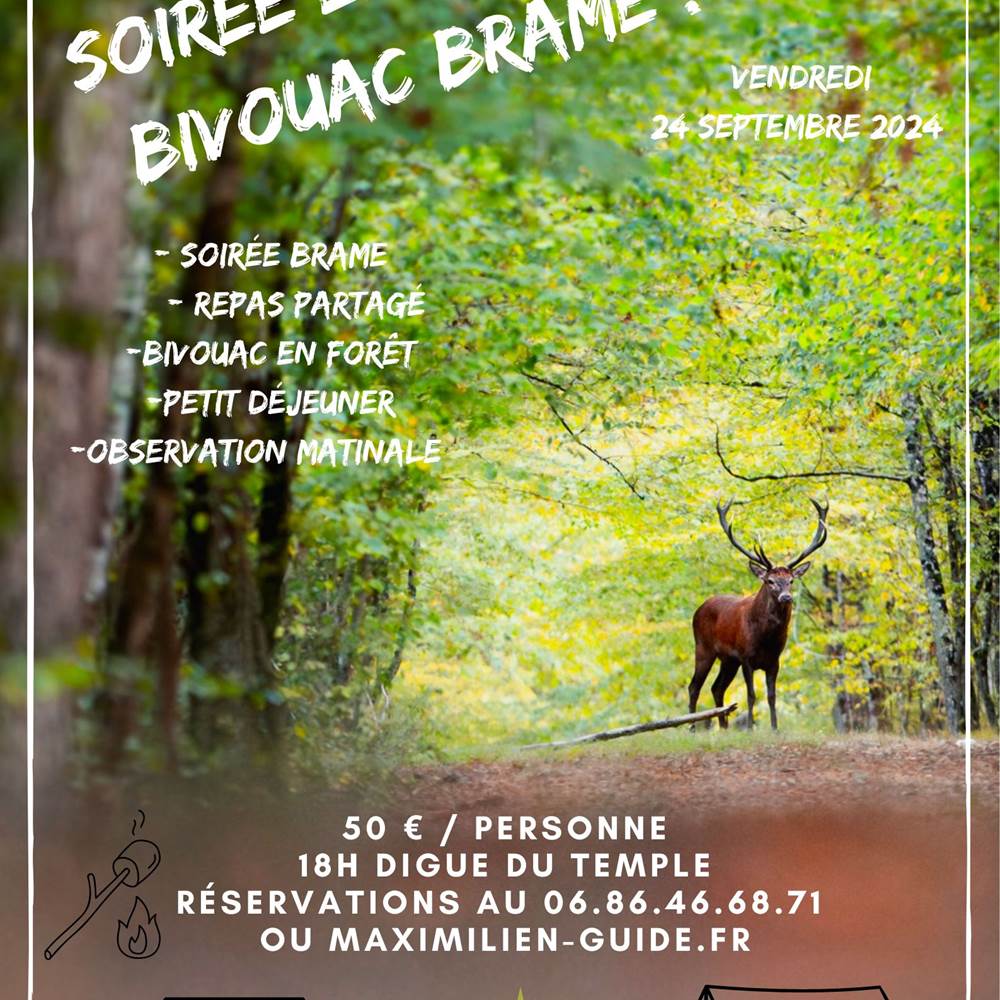 soirée bivouac VIVRE BRAME-presta